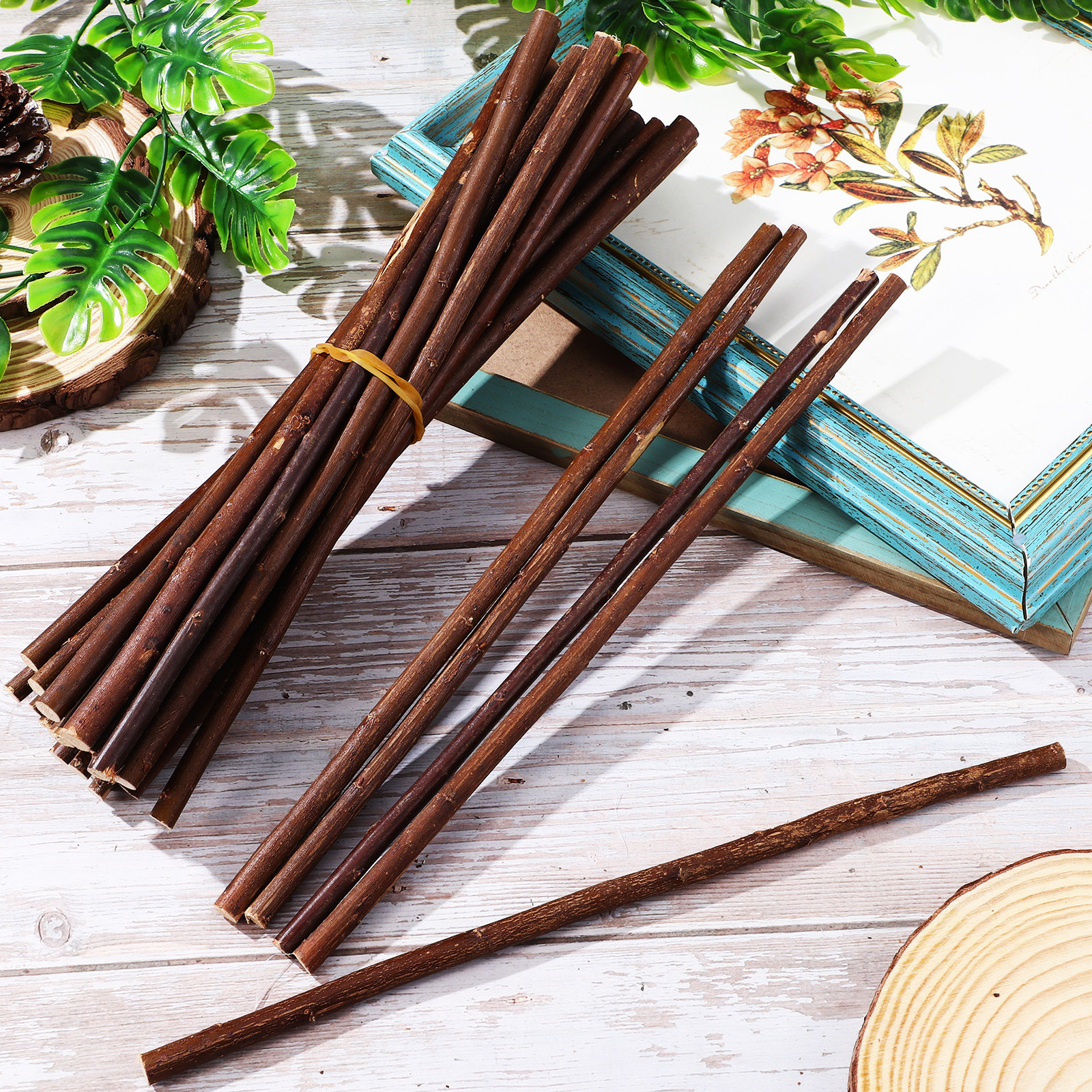 50Pcs Wood Twigs Sticks Dried  - Centerpiece Stick ulasan dan harga