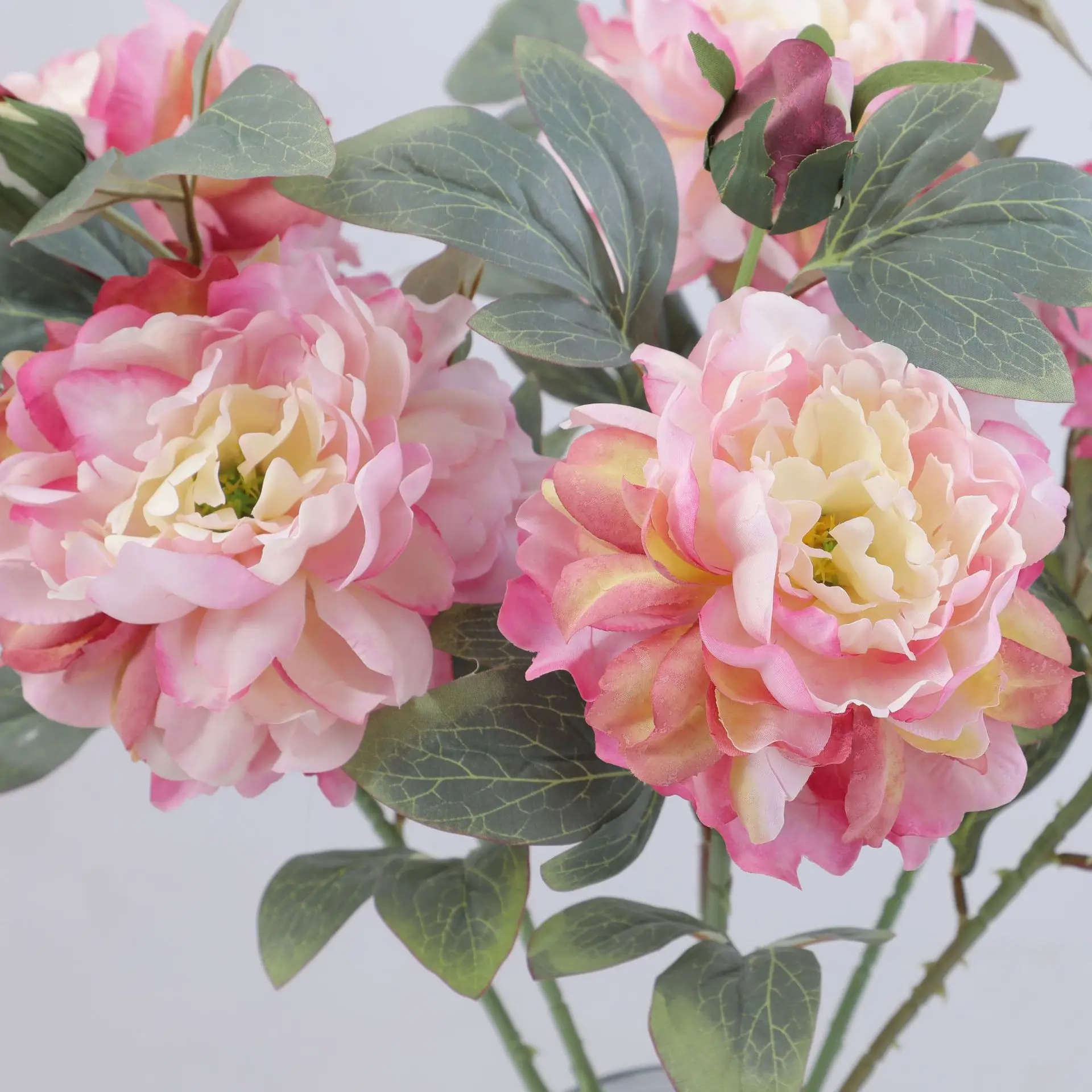 Artificial Peony Flower Single - Flower Wall Panel ulasan dan harga